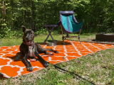 Camping Etiquette for Pets and Their People